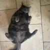 luhspoo