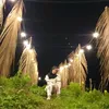 karyawanbiasa96