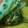 mrvanya_00