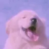 0.keiraaa.0