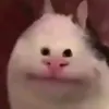 ok_oge
