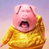 gunterthepiggy
