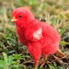 the_red_chicken