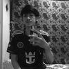 anas_anas.19