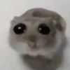 shoo_go_away12