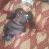 zaminkhan321