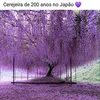 user983280155