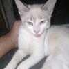 sofianesaib7