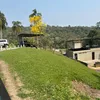 joananika