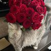 love_r5l