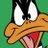 saudi.daffy