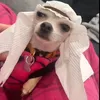fabito_capuanito