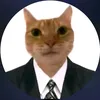 dh8z_