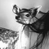 _iyr72