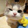 deyutt26_