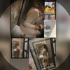 _amesha05_