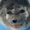 seajayc0