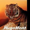 hugomont2
