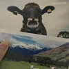 ysysusy
