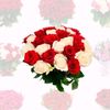 user5200730311086