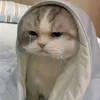 kim.xcyds