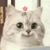 powtato23