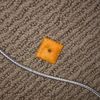 cheezitdoe