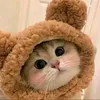 denysukardy6