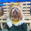 Mãe da princesa!