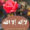 shadiyaanwar