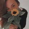 melissaocchi