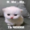 nmn_raf