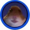 faze_d1zz1