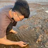 truongtpgroup