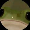 chaotic_minty