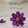 hen7n_