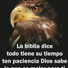 omar77zambrano