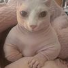 super_weeniehutjrs