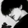 zerdan.n