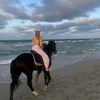 nataladomosud