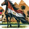 omar96028