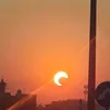 nawalar7