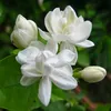 user319j57pn7a