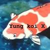 yungxkoi