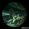 eryaug_912_0
