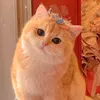 citatata_cantik