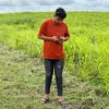 limau_ais27