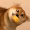 myinternet4gmyheart4u