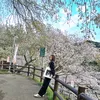 vienchinh0902
