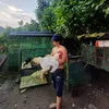 kentbotido